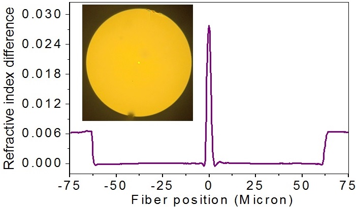 FBG based distributed feedback laser for sensor applications