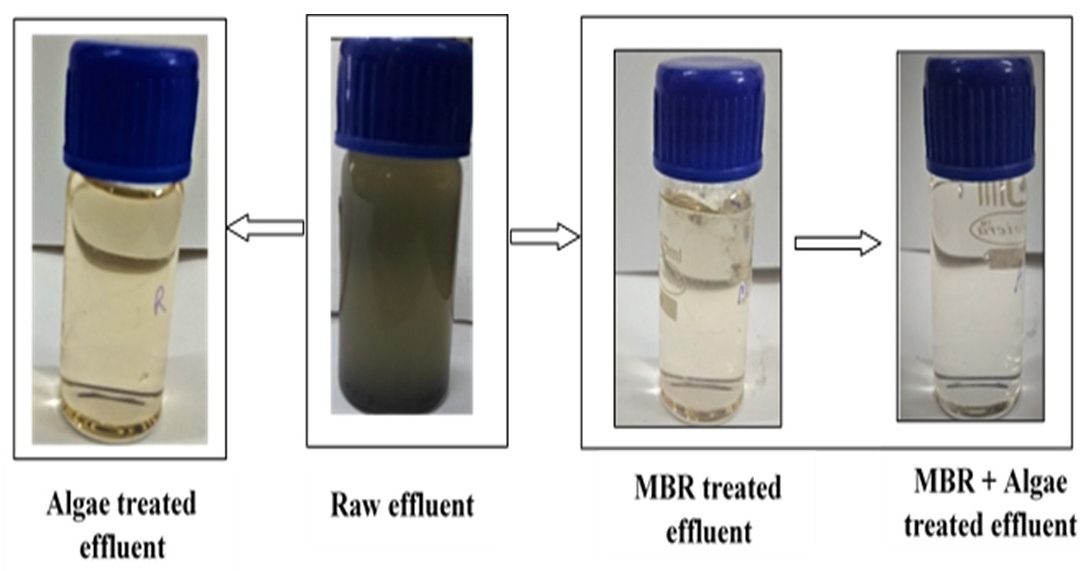 Tannery waste water treatment using membrane bioreactor