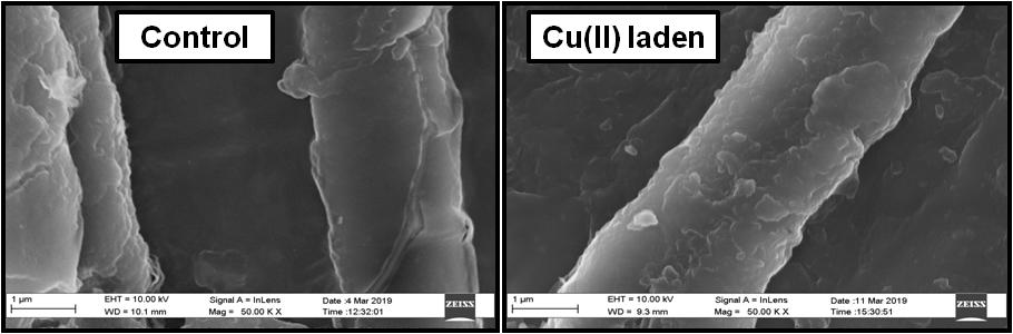 An integrated technology development for biosorption with ceramic membrane based microfiltration treatment of toxic metal containing wastewater